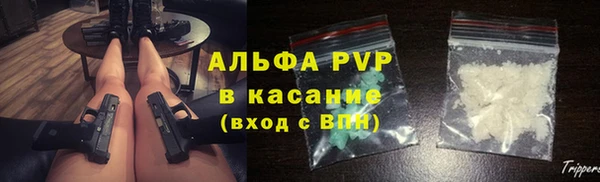 амф Аркадак