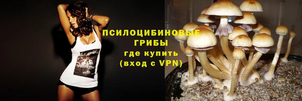 амф Аркадак