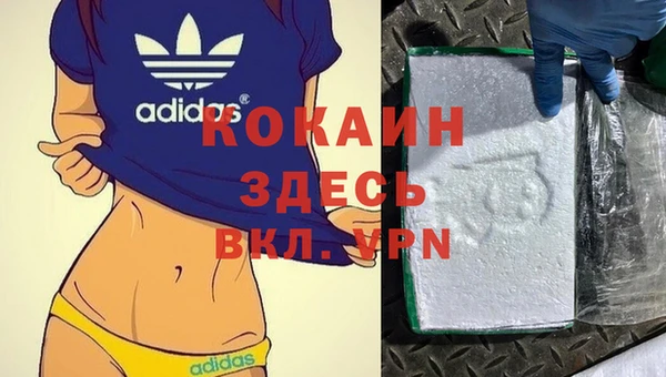 твердый Армянск