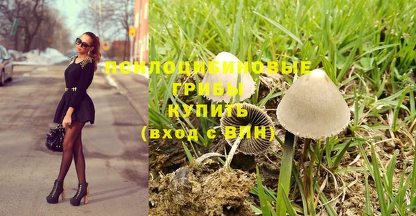 стафф Осташков