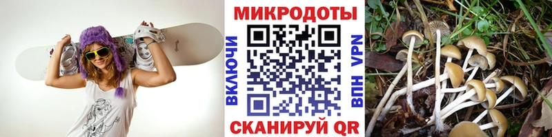 Псилоцибиновые грибы Cubensis  наркошоп  Вельск 